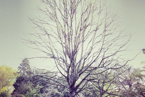 AI & Machine Learning Innovators